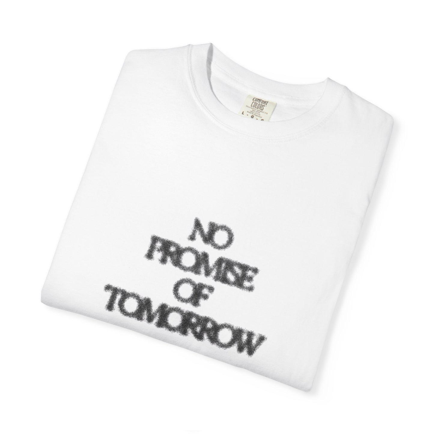 2006 "NO PROMISE OF TOMORROW"