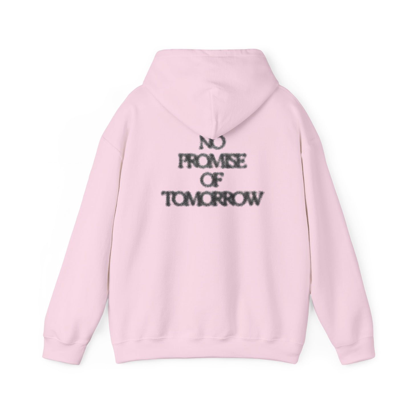 2006 "NO PROMISE OF TOMORROW" Hoodie