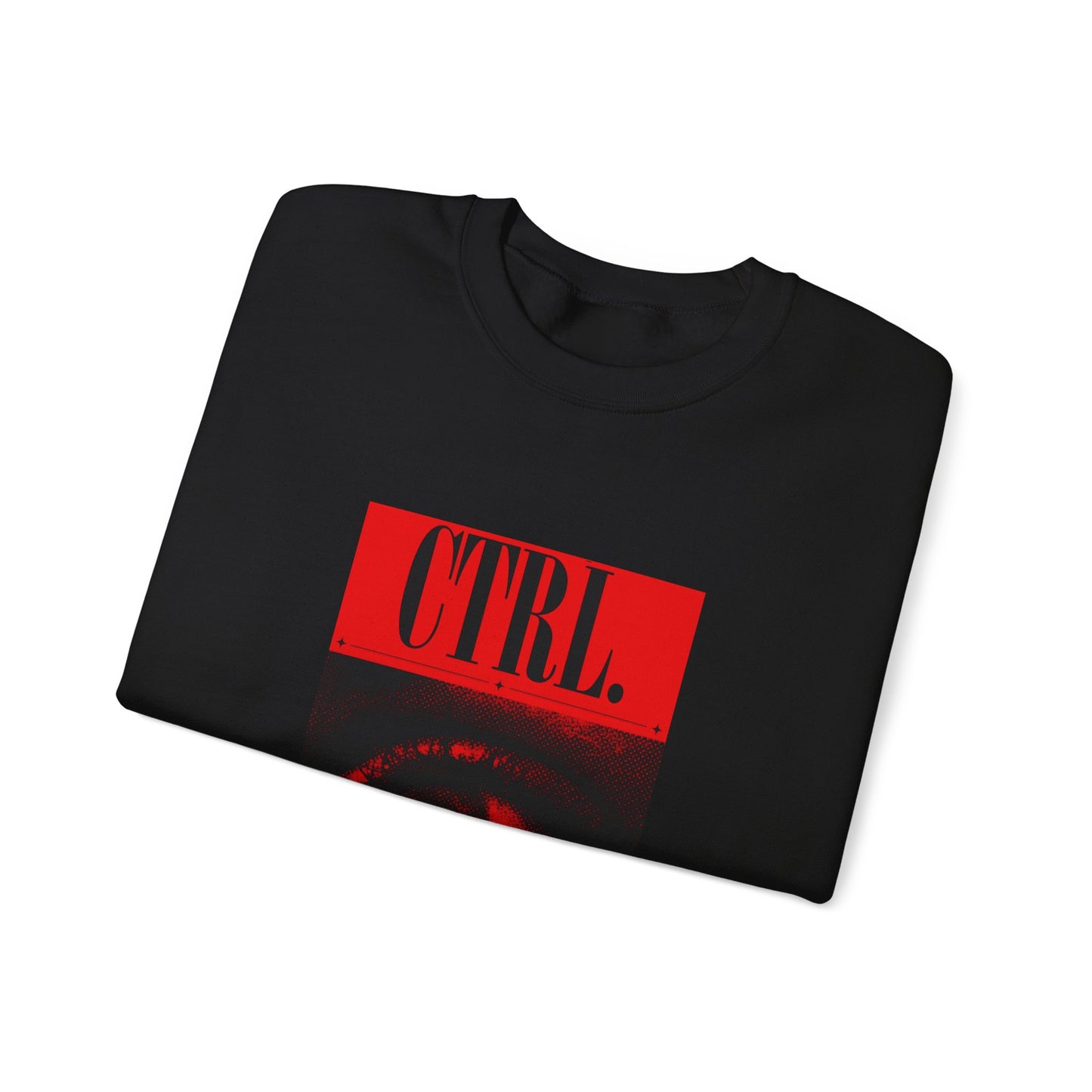 2006 "CTRL " Long Sleeve