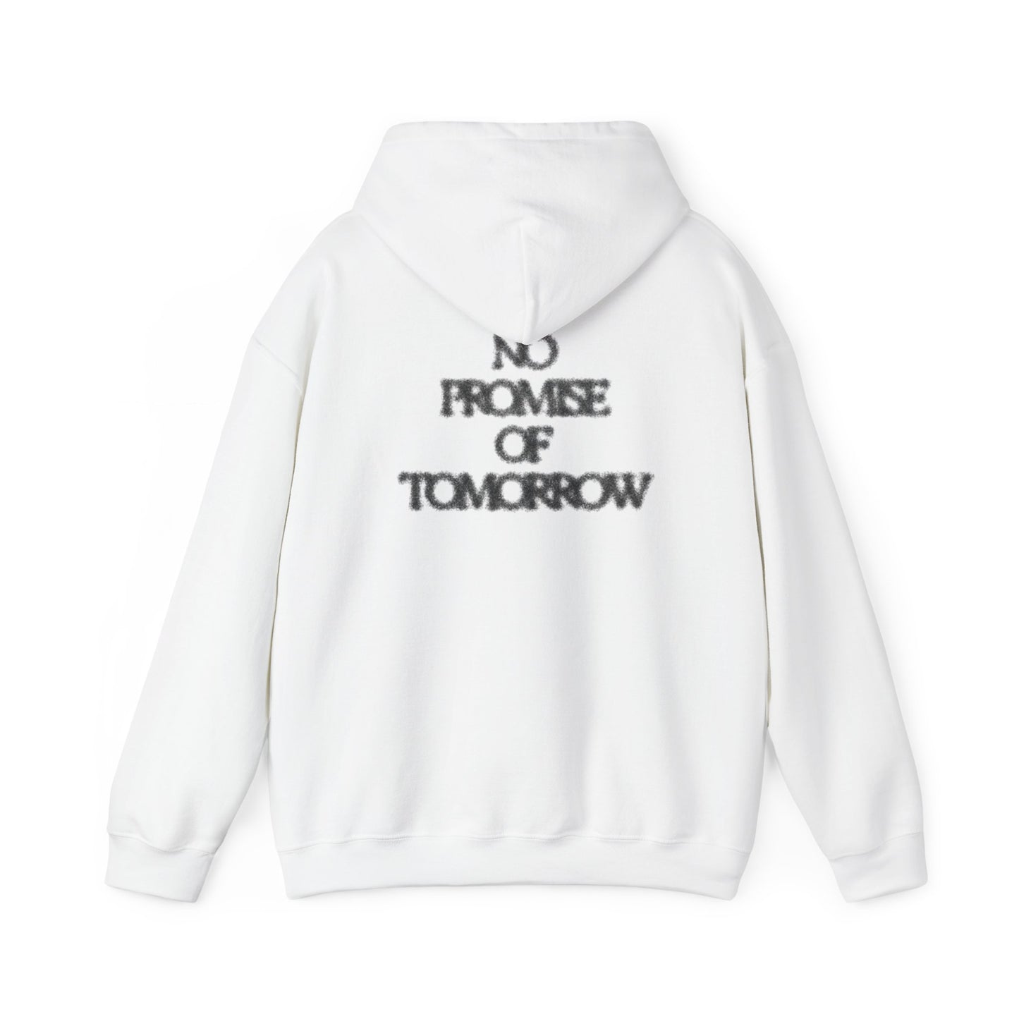 2006 "NO PROMISE OF TOMORROW" Hoodie